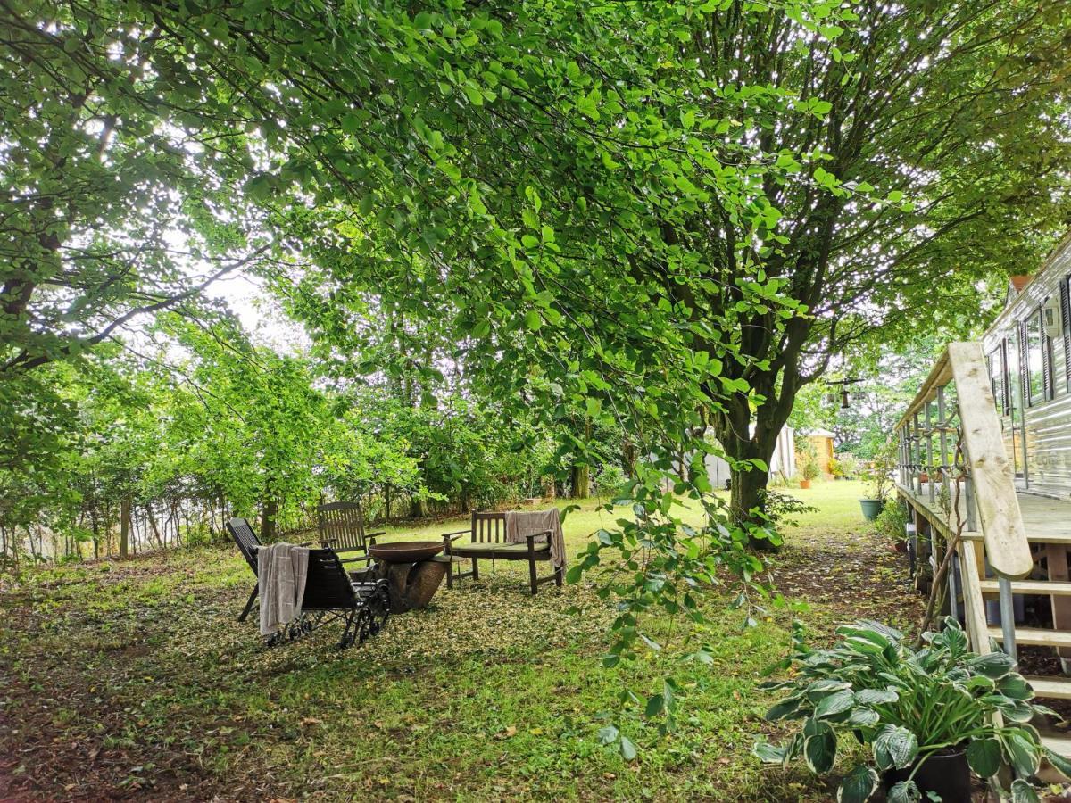 Doughery Den The Dark Hedges Hideaway Armoy Luaran gambar