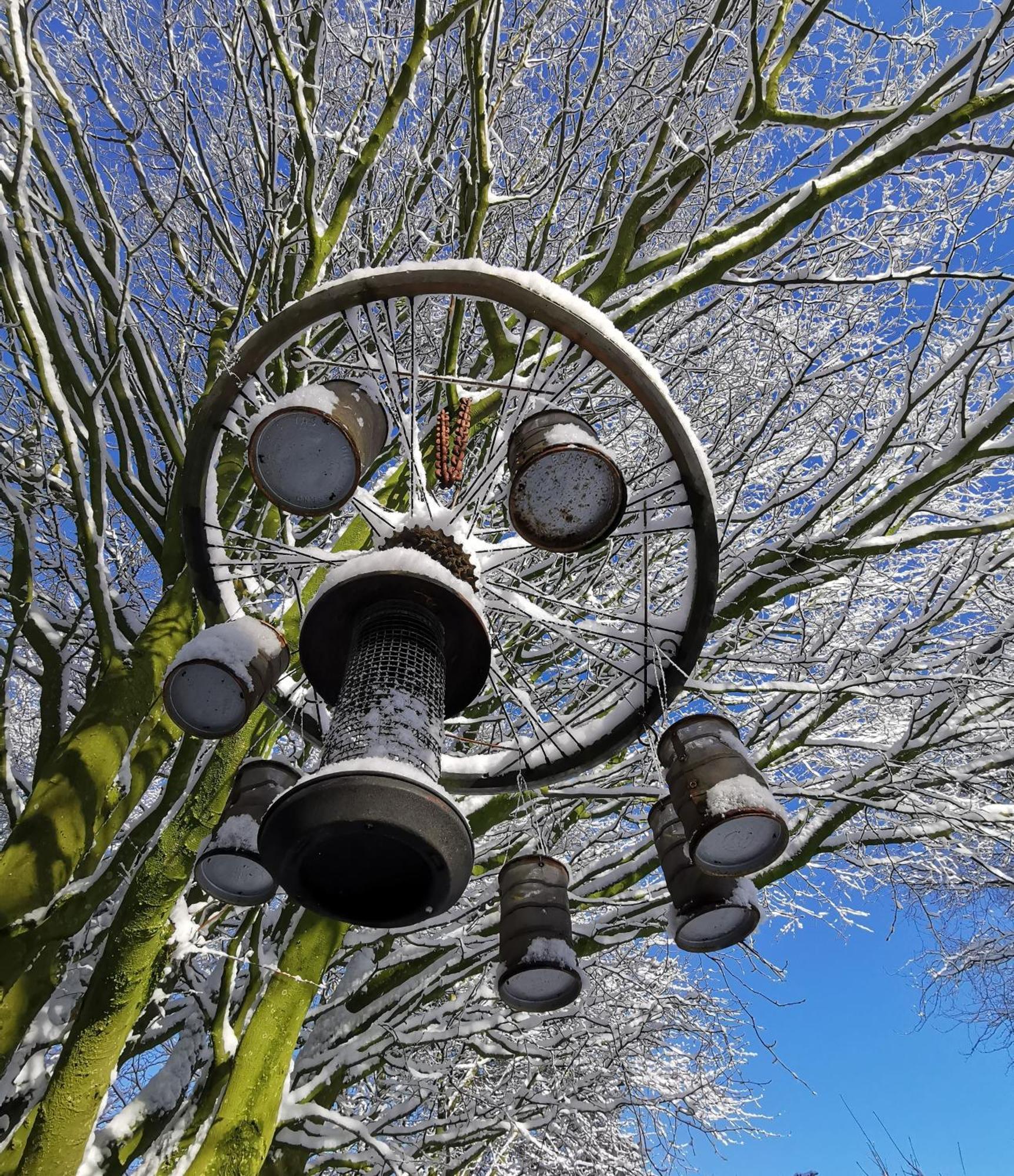 Doughery Den The Dark Hedges Hideaway Armoy Luaran gambar