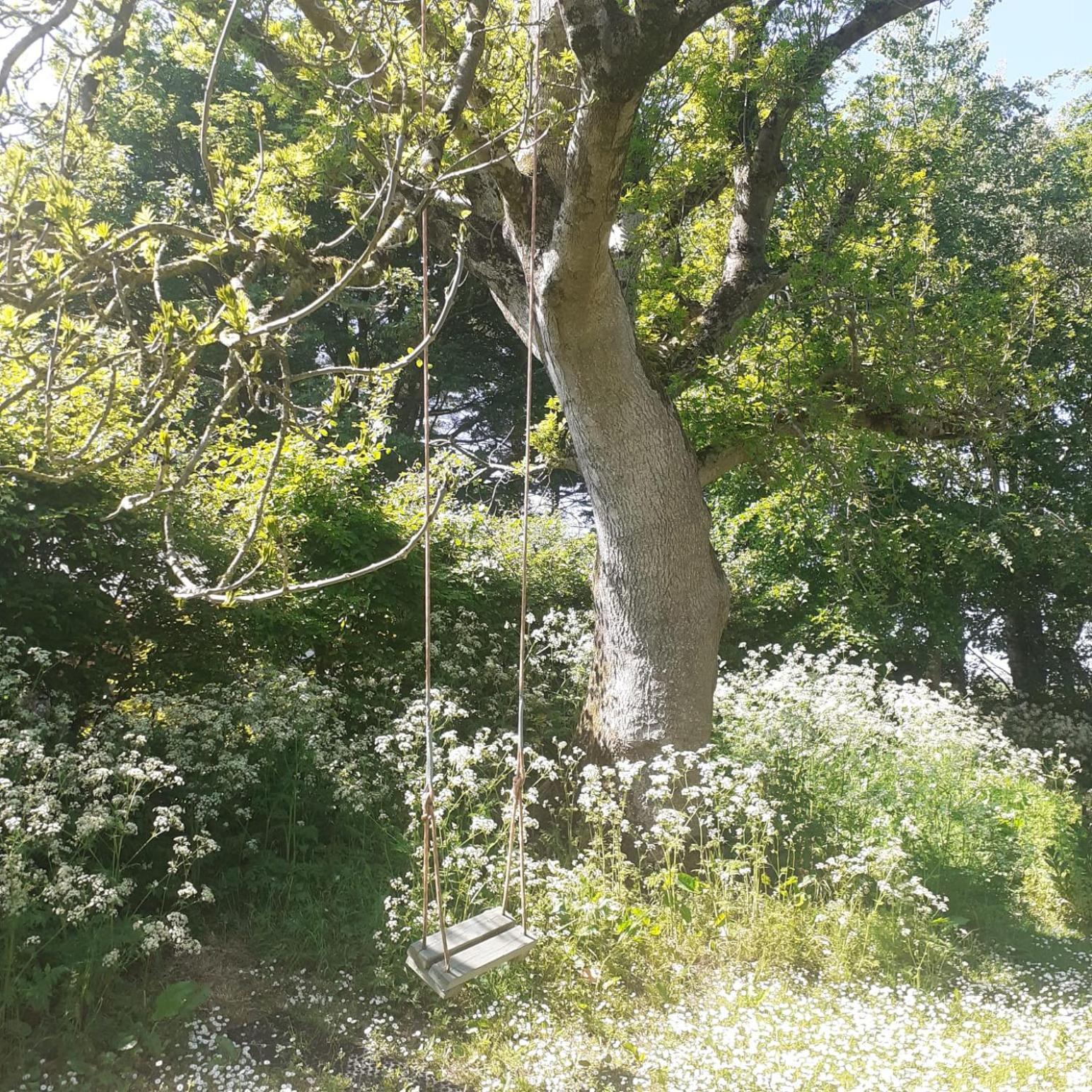 Doughery Den The Dark Hedges Hideaway Armoy Luaran gambar