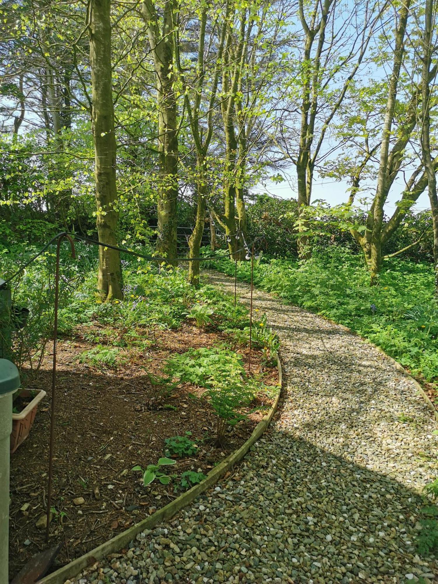 Doughery Den The Dark Hedges Hideaway Armoy Luaran gambar